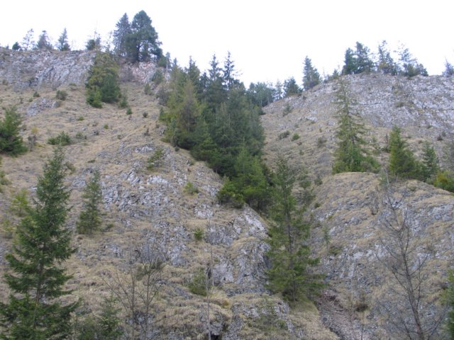 pieniny55.jpg